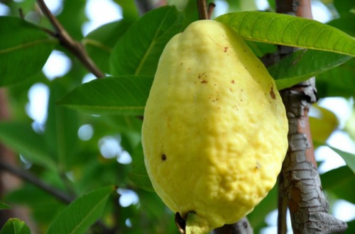 متابعة 