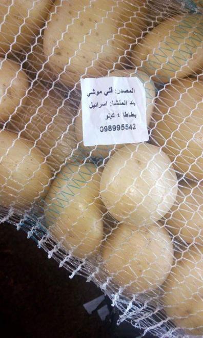 بطاطا 