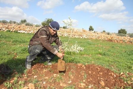 الزراعة الفلسطينية تفشل في اختباري الشتاء والصيف‎
