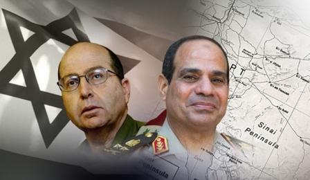  مصر وإسرائيل..متقاربتان رسميا متباعدتان شعبيا
