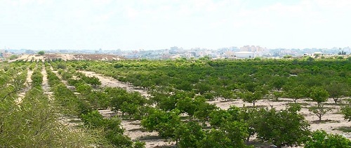 في العدد 47:المحررات
