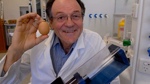 اختراع يعيد البيض نيئا بعد سلقه قد يساعد في علاج السرطان
