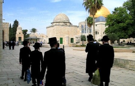  مستوطنون يقتحمون المسجد الأقصى تحت حراسة شرطة الاحتلال

