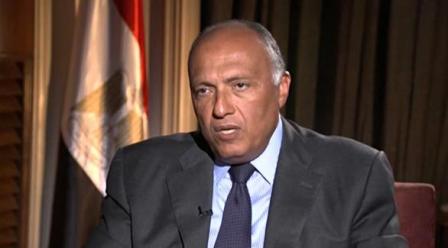 شكري يبحث مع رئيس