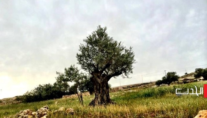 الطقس: انخفاض طفيف على درجات الحرارة