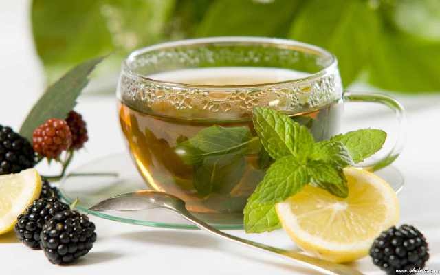 علماء: الإفراط في تناول الشاي الأخضر مضر بجسم الإنسان