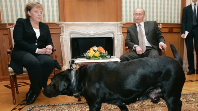 بوتين يعتذر لميركل