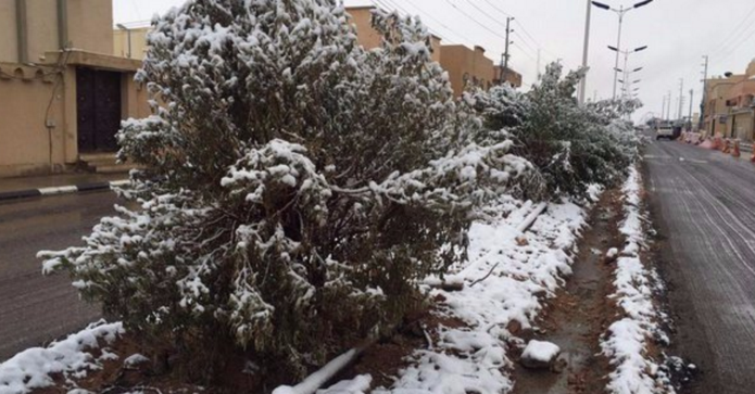 الثلوج تغطي المناطق الشمالية من السعودية
