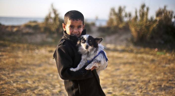 بالصور: تربية الكلاب” ثقافة جديدة تنتشر بين شباب غزة 
