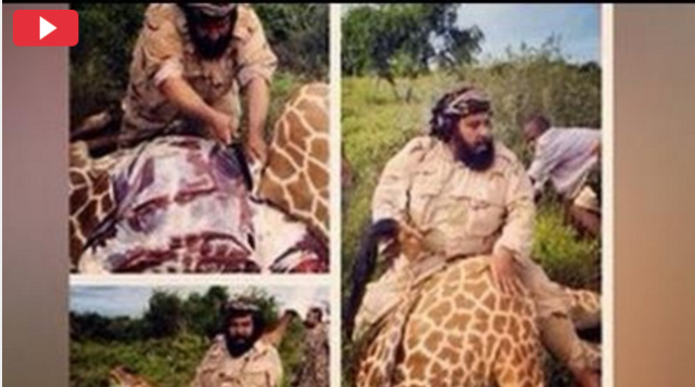 قصة السعودي الذي