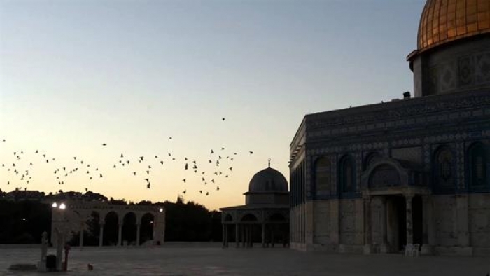 مديرة 