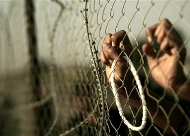 الاحتلال يحكم على ثلاثة أسرى من مخيم جنين بالسجن الفعلي لأكثر من عامين
