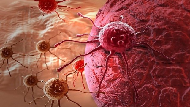 علماء يكتشفون سبب مقاومة الأورام السرطانية للأدوية

