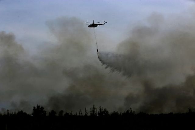 بالفيديو: الحرائق