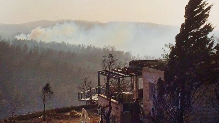 النيران تلتهم 400 دونم