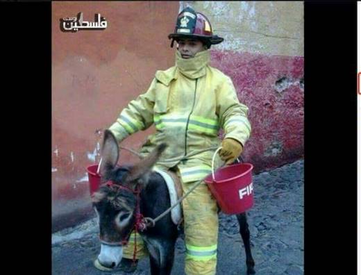 الإسرائيليون يتداولون صورا تسخر من الدفاع المدني الفلسطيني