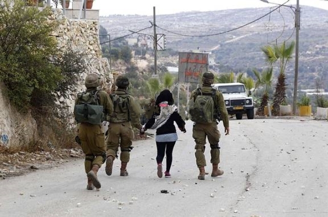 قوات الاحتلال تعتقل