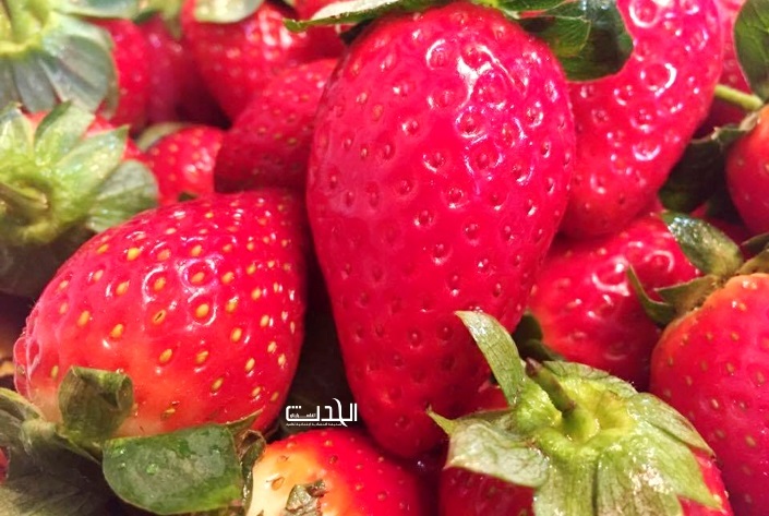 فاكهة الفراولة تحارب تسعة امراض