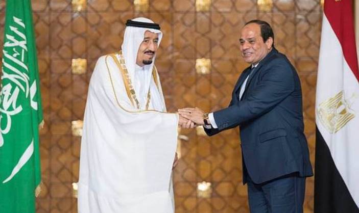 الحكومة المصرية تقر