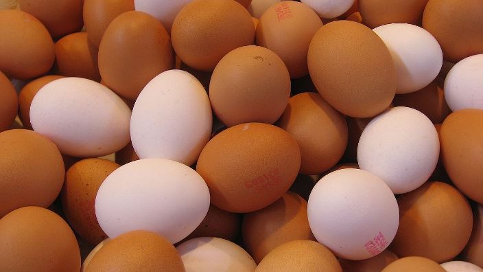 خمسة اشياء يجب ان تعرفها عن بيض الدجاج (فيديو)