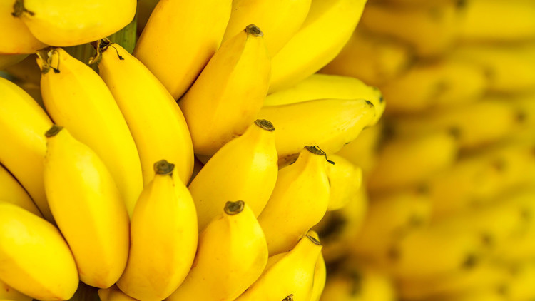 قشور الموز المتعفنة تعالج مرض خطير جداً
