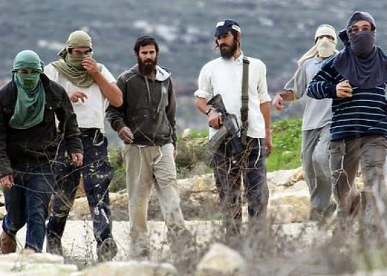 مستوطنون يعتدون بالضرب المبرح على راعٍ والاحتلال يحتجز آخر
