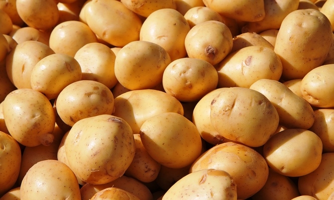 حمية البطاطا لإنقاص 5 كيلو في أسبوع 