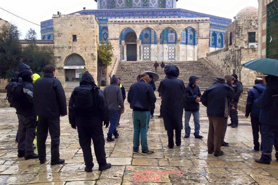 مستوطنون يجددون اقتحامهم