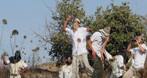 مستوطنون يمنعون مزارعا