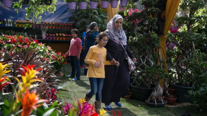 حالة الطقس في فلسطين