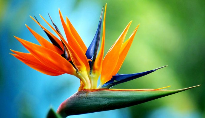 حالة الطقس في فلسطين