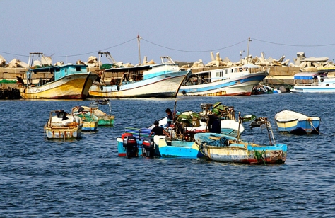 الاحتلال يختطف 4 صيادين خلال عملهم في بحر رفح
