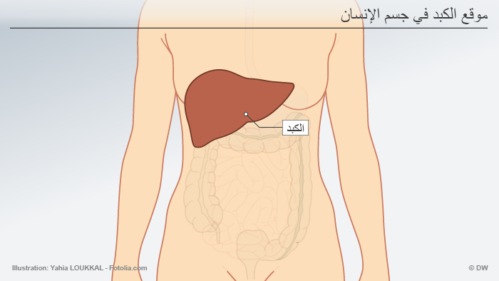  مع اقتراب شهر رمضان .. هذا ما يحدث في الجسم أثناء الصّيام
