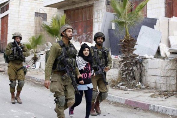 الاحتلال يعتقل فتاة في مدينة القدس

