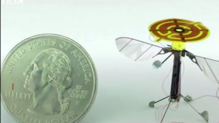 علماء يطورون روبوتات طائرة في حجم الحشرات