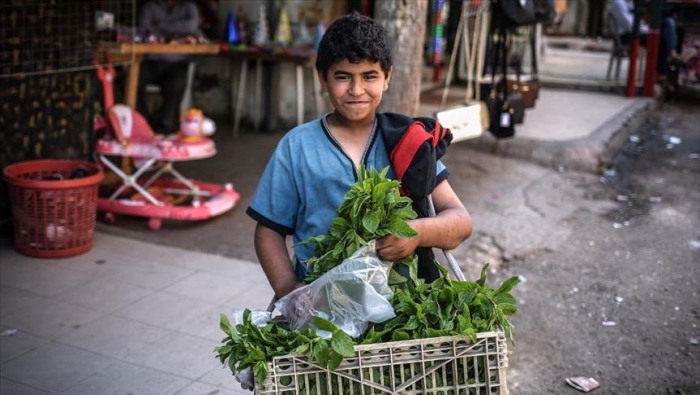 الامم المتحدة: الفلسطينيون يعيشون حياة غير صحية لانعدام الأمن الغذائي