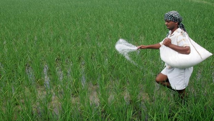 انخفاض محصول «الأرز» يثير مخاوف الأمن الغذائي في آسيا