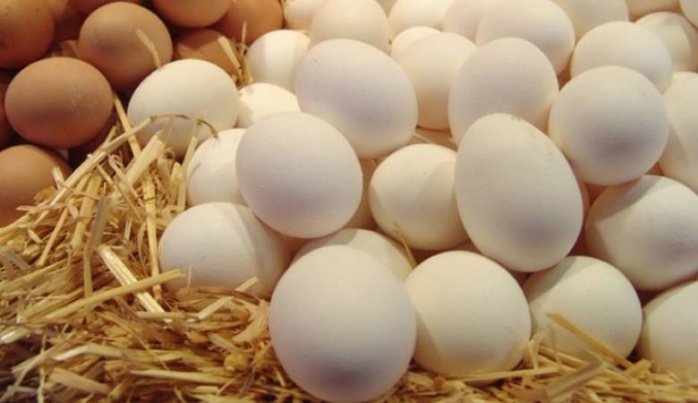  لحل مشكلة تكدس  البيض في السوق: زراعة جنين تبدأ بشراء البيض من المزارعين
