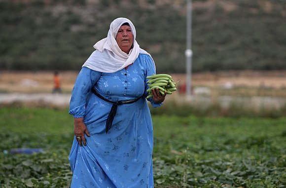  المرأة تتحمل 87% من عبء العمل بالزراعة وتوفر 70% من الغذاء
