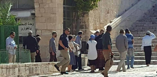 مستوطنون يواصلون اقتحامهم للأقصى وتحذيرات من فعاليات مشبوهة غدا