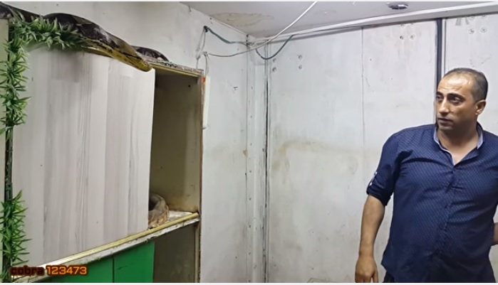 بالفيديو...أكثر من