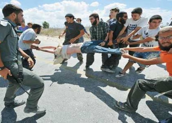 مستوطنون يعتدون بالضرب على مزارعين من الخضر
