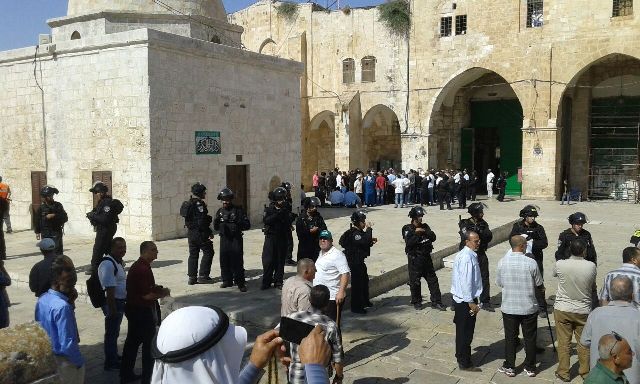 قطعان المستوطنين