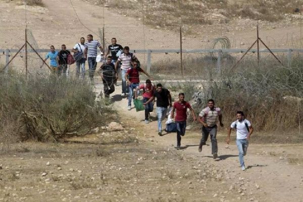 تصاريح العمل للفلسطينيين