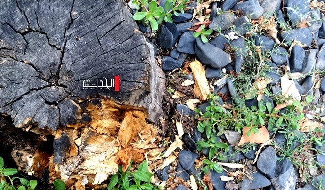 لقوي الملاحظة.. اين