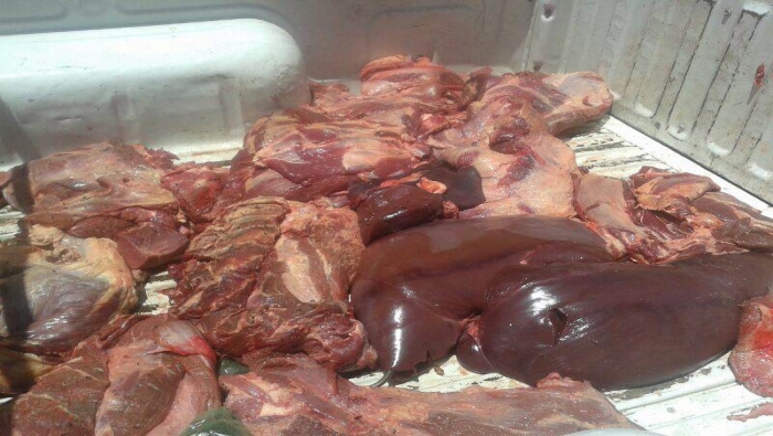 ضبط 1200 كغم من لحوم الدواجن المهربة في كفر عقب