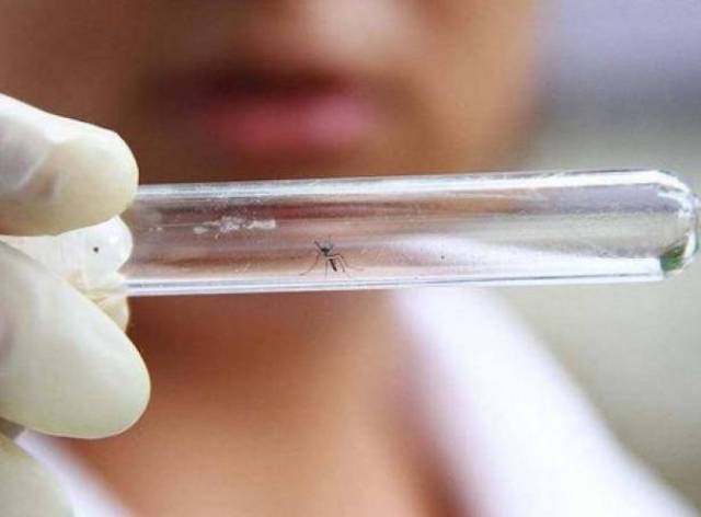 ماليزيا تؤكد ظهور أول إصابة بفيروس 