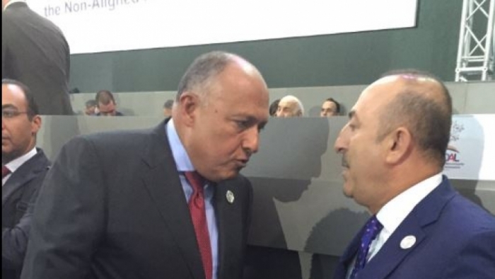 وزيرا خارجية مصر وتركيا يلتقيان لأول مرة منذ إسقاط مرسي