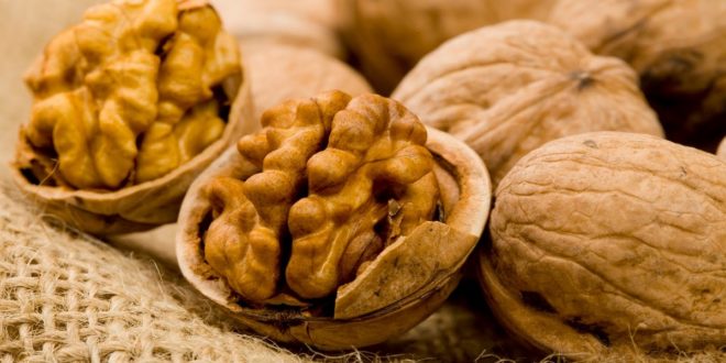 8 فوائد مدهشة لـ«الجوز»..