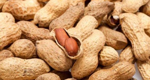هل تعلم أن الفول السوداني